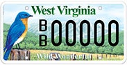 Wildlife - Bluebird license plate
