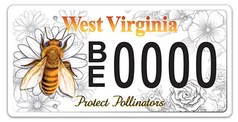 A West Virginia specialty license plate for protecting pollinators, featuring a detailed illustration of a bee on a daisy over a faint gray floral background, 'Protect Pollinators' printed in cursive along the bottom, and sample registration BE 0000