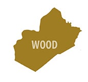 A map highlighting a specific region of West Virginia in a gold color, showing the single county of Wood