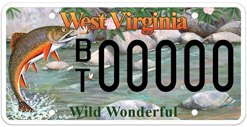 A West Virginia specialty license plate featuring an illustration of a colorful brook trout jumping out of a rocky stream towards a fishing fly, with 'West Virginia' in orange at the top, 'Wild Wonderful' in green at the bottom, and sample registration BT 00000