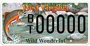 Wildlife - Brook Trout license plate