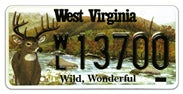 Wildlife - Deer license plate