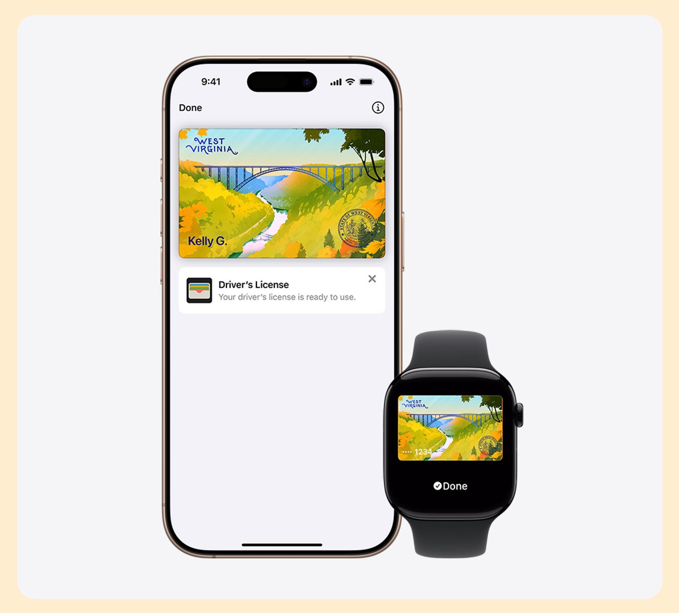 Driver's license presented in Apple Wallet on an iPhone and Apple Watch